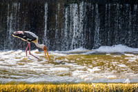 DSCF2542