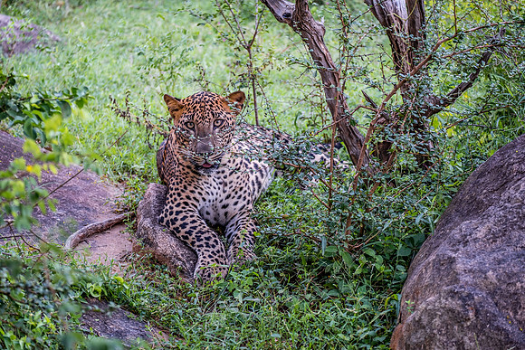 DSCF2752