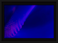 Blue Wave 12x8