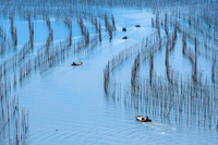 Life's Winding Path by Arj Muñoz