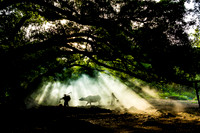 A Day of Hope by Arj Muñoz