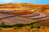 The God's Magic Palette
