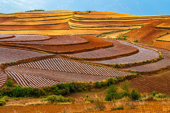 The God's Magic Palette