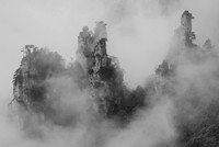 Into The Mist
