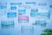 Catch of the Day by Arj Muñoz