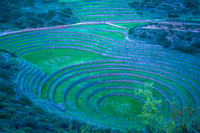 B0001275