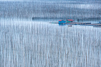 DSCF6024